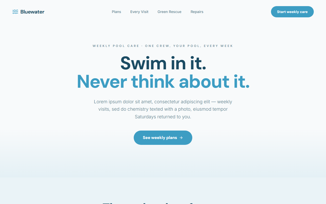 Bluewater website design preview