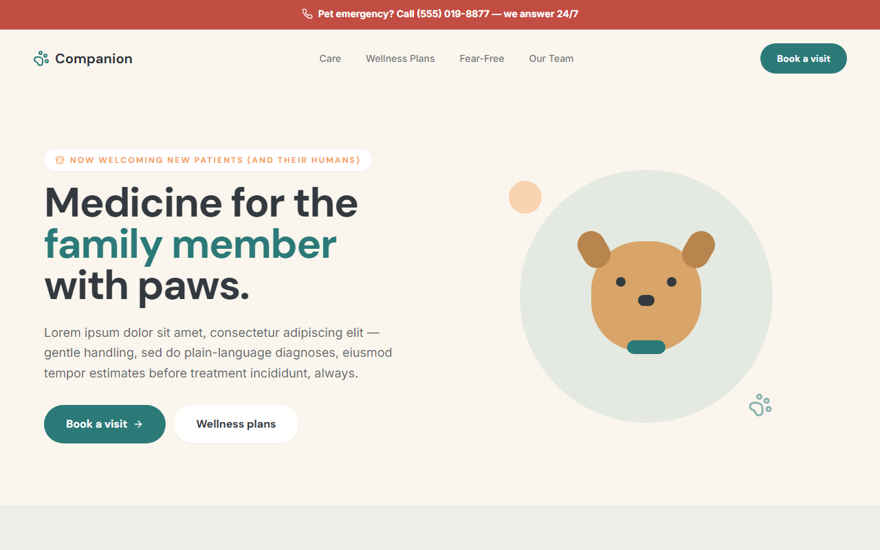 Companion website design preview