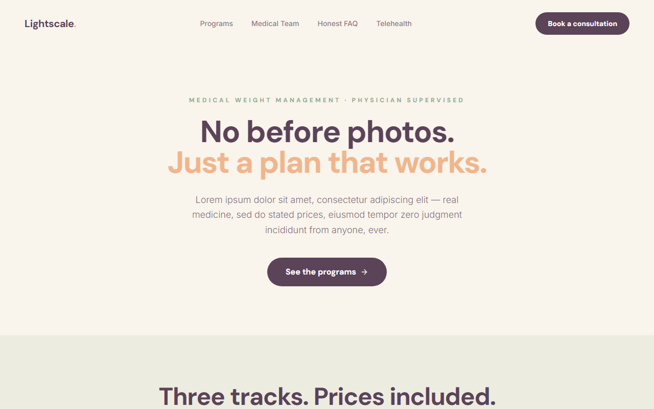 Lightscale website design preview