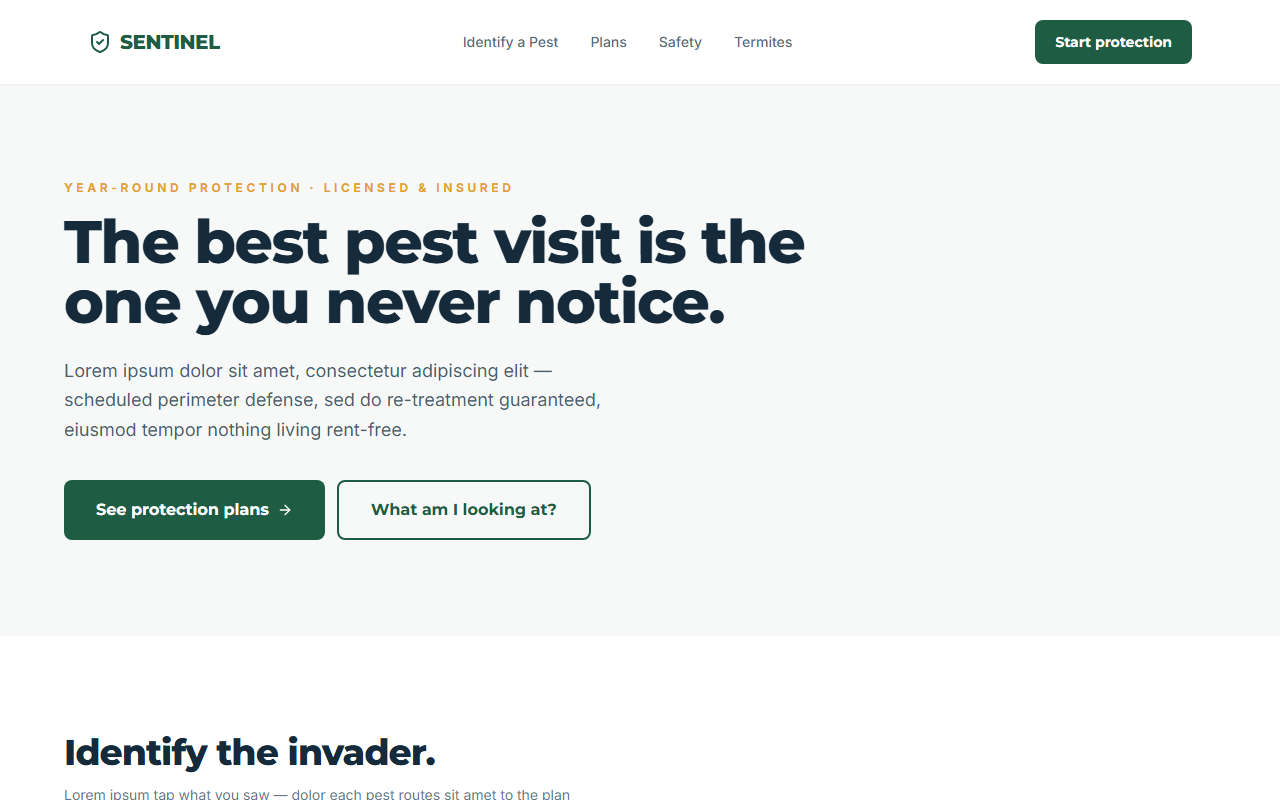 Sentinel website design preview